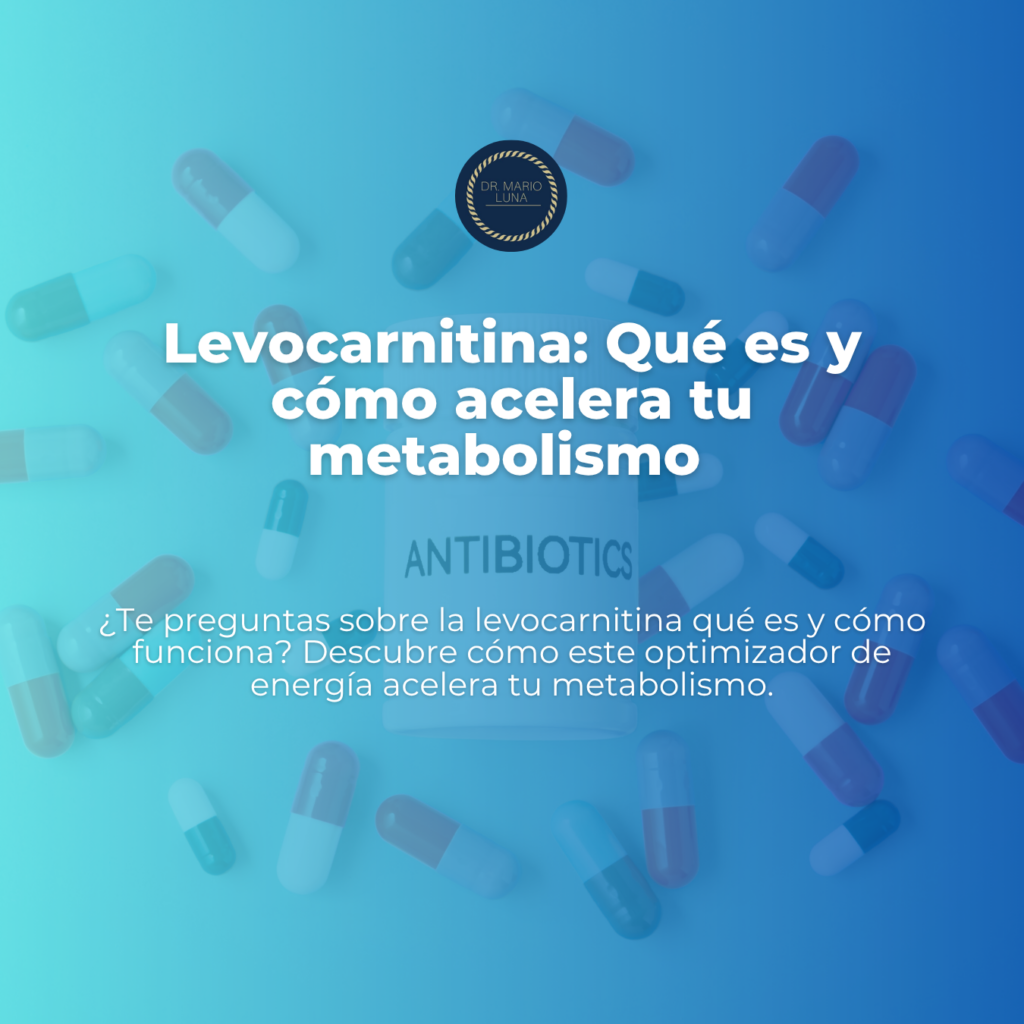 levocarnitina que es levocarnitina que es