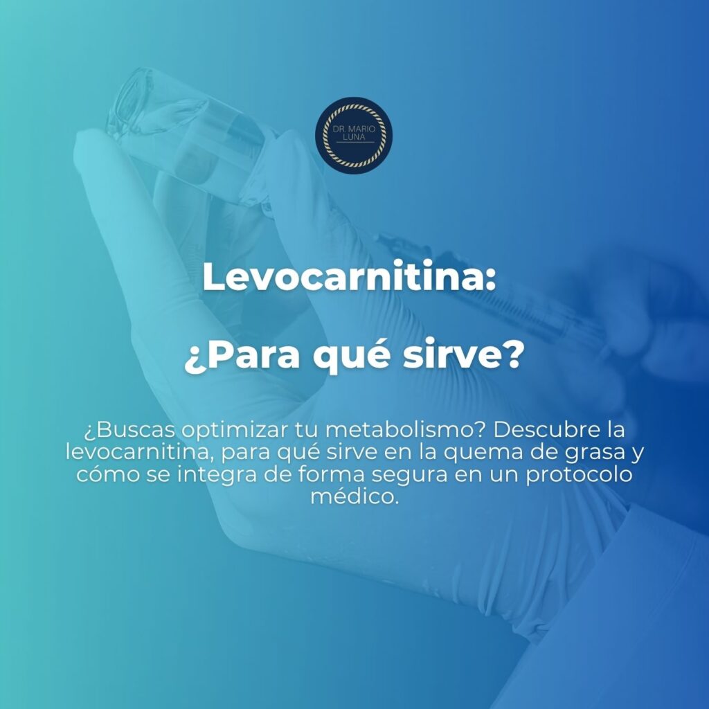 levocarnitina para que sirve levocarnitina para que sirve
